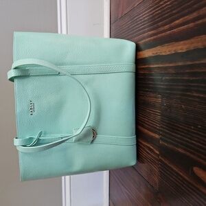 Radley London Museum Street Large Open Top Tote Painted Mint with Sparkles